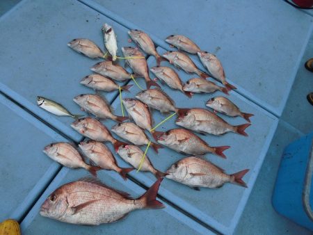 十八宝洋丸 釣果