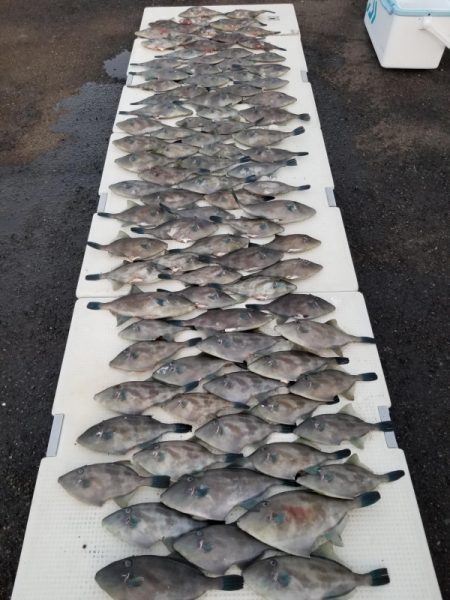 オーフリー 釣果