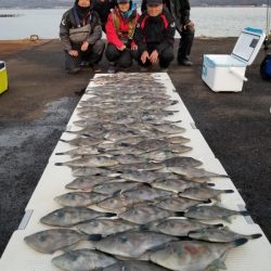 オーフリー 釣果