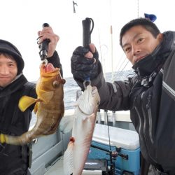 ブルーピア 釣果