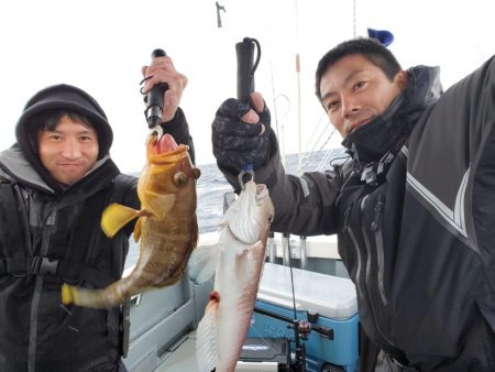 ブルーピア 釣果