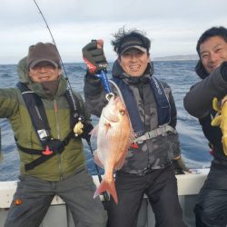 ブルーピア 釣果