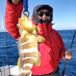 ブルーピア 釣果