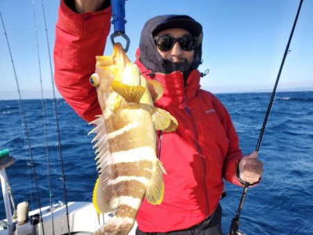 ブルーピア 釣果