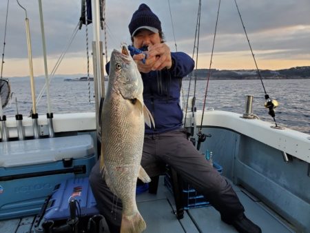 ブルーピア 釣果