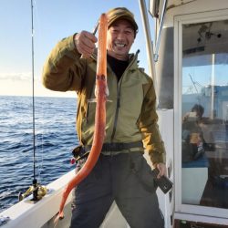 ブルーピア 釣果