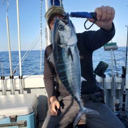 ブルーピア 釣果