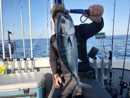 ブルーピア 釣果