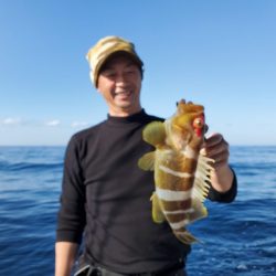 ブルーピア 釣果