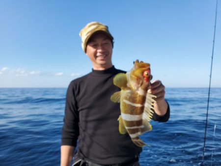 ブルーピア 釣果