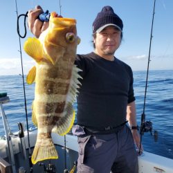 ブルーピア 釣果