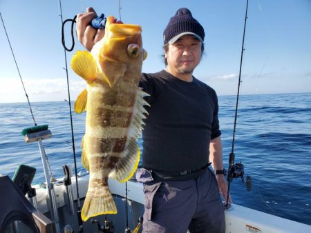 ブルーピア 釣果