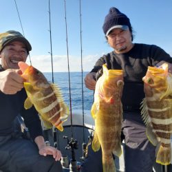 ブルーピア 釣果