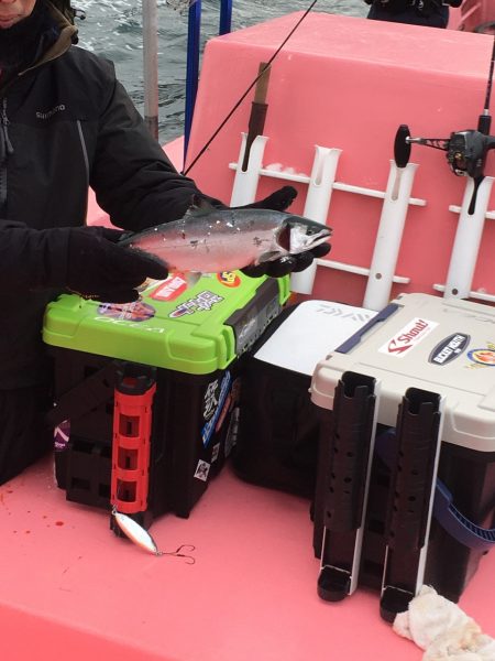 第八平成丸 釣果