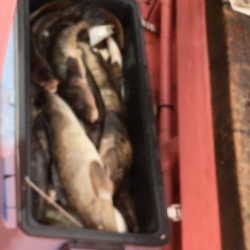 第八平成丸 釣果