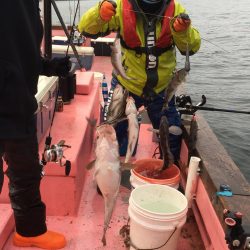 第八平成丸 釣果