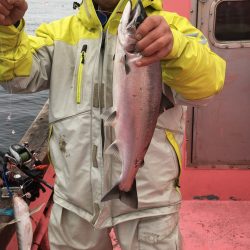 第八平成丸 釣果