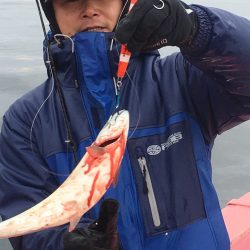 第八平成丸 釣果