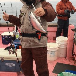 第八平成丸 釣果