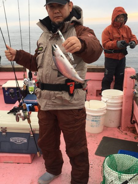 第八平成丸 釣果