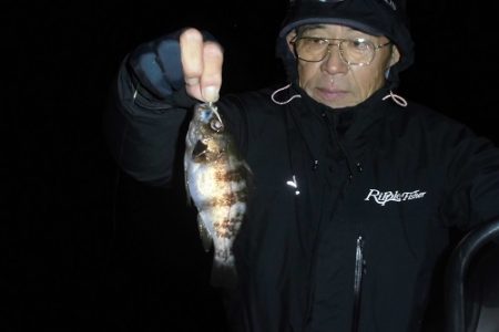 ルアー船マヒマヒ 釣果