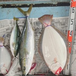 明神釣船 釣果