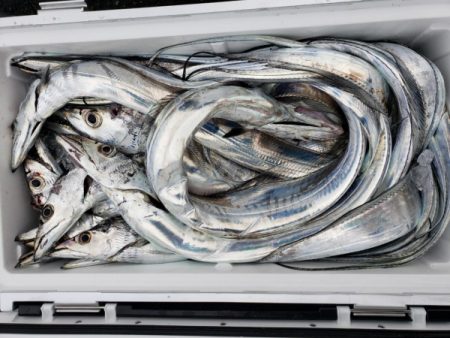 オーフリー 釣果