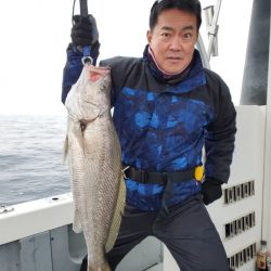 ブルーピア 釣果