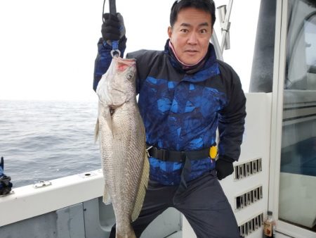 ブルーピア 釣果