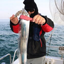 松本釣船２ 釣果