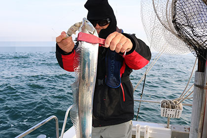 松本釣船２ 釣果