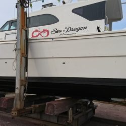 海龍丸（福岡） 釣果