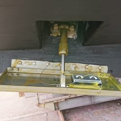 海龍丸（福岡） 釣果