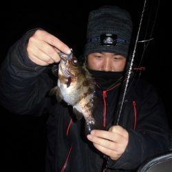 ルアー船マヒマヒ 釣果