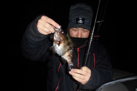 ルアー船マヒマヒ 釣果