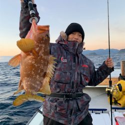 マタウマリンサービス 釣果