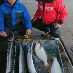 明神釣船 釣果