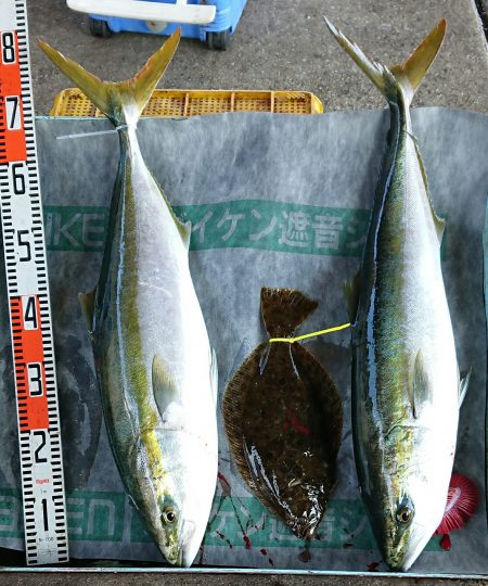 明神釣船 釣果