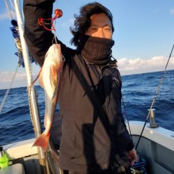 ブルーピア 釣果