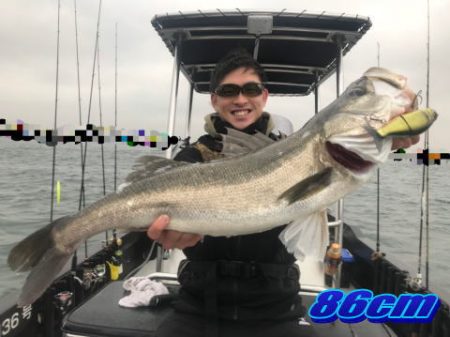 オーシャンマスター 釣果
