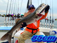 オーシャンマスター 釣果