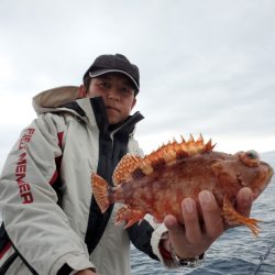 ブルーピア 釣果