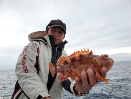 ブルーピア 釣果