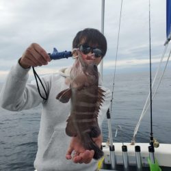 ブルーピア 釣果