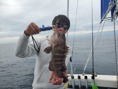 ブルーピア 釣果