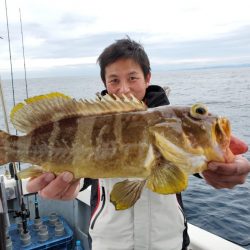 ブルーピア 釣果