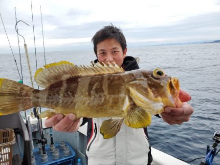 ブルーピア 釣果