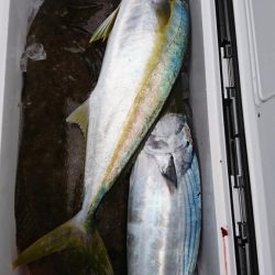 海龍丸(福岡) 釣果