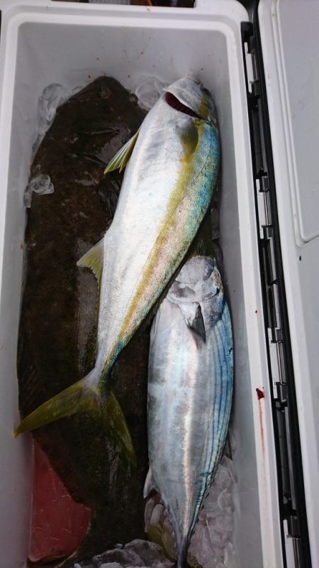 海龍丸(福岡) 釣果