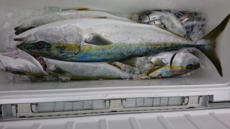 海龍丸(福岡) 釣果
